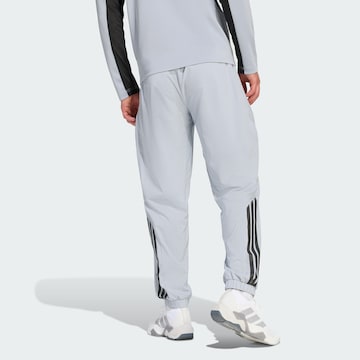 regular Pantaloni sportivi 'Essentials' di ADIDAS PERFORMANCE in grigio