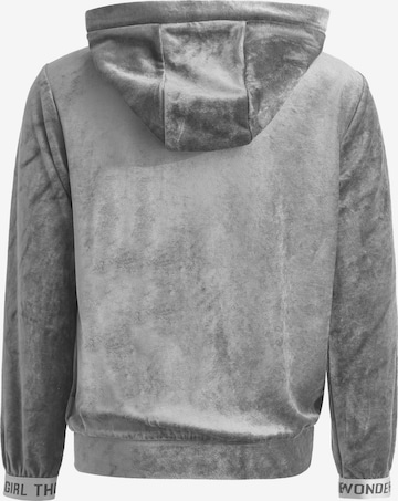 Gulliver Zip-Up Hoodie in Grey