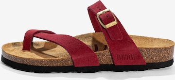 raudona Bayton Šlepetės per pirštą 'DIANE': priekis