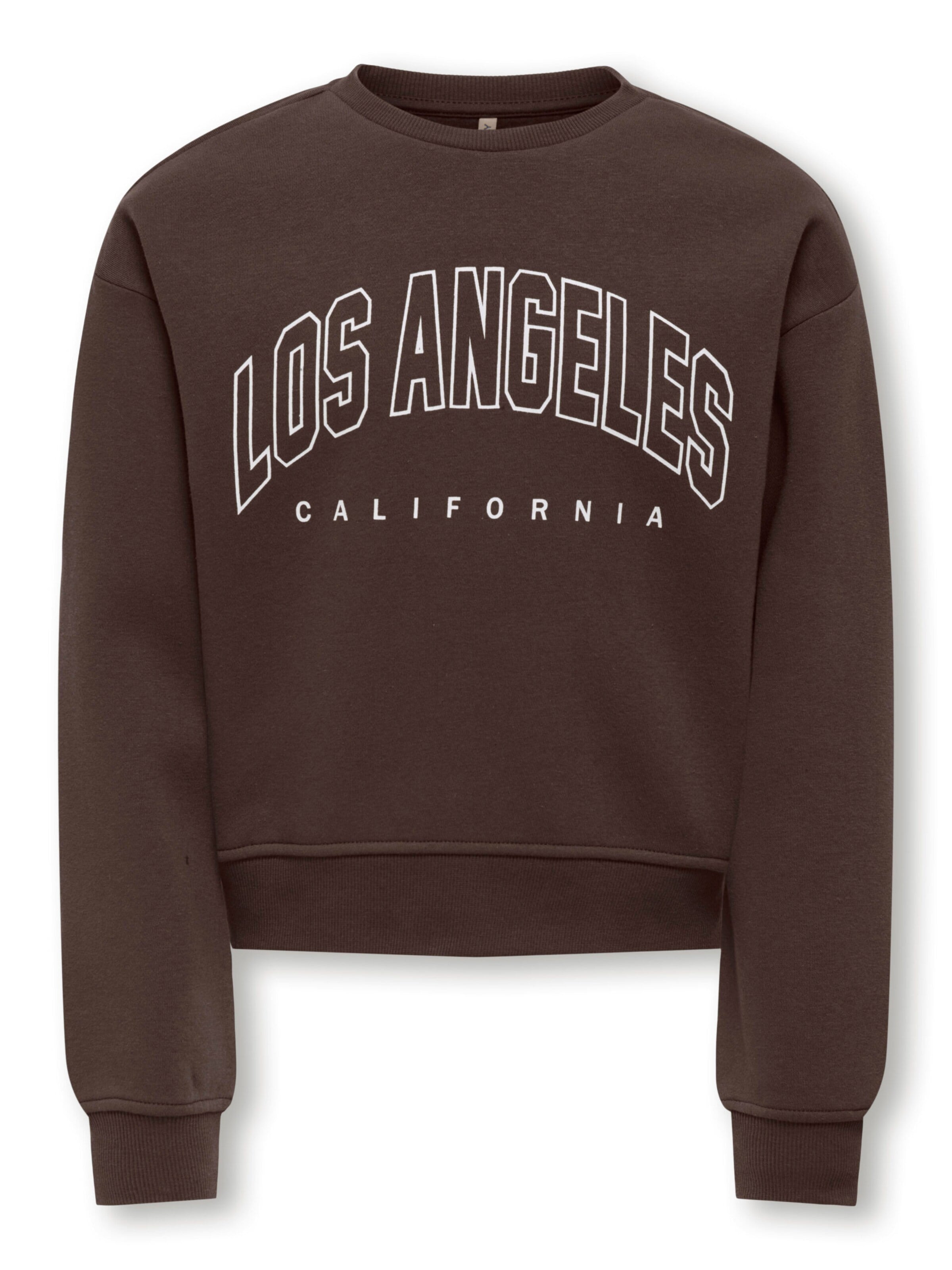 ONLY Sweatshirt in Brown: front