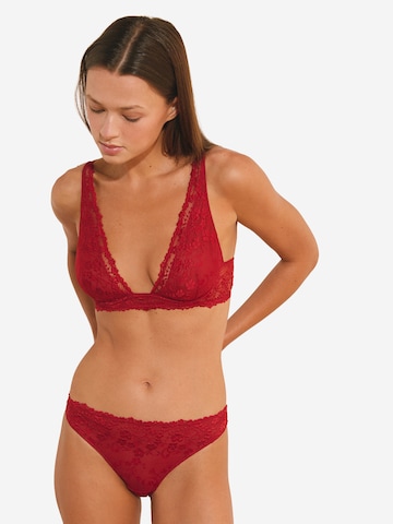 Bustino Reggiseno 'Soupcon' di ETAM in rosso