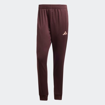 ADIDAS SPORTSWEAR Tracksuit in Red