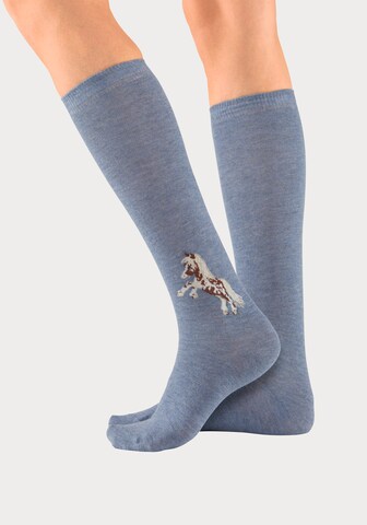 H.I.S Socks in Blue