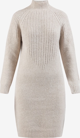 usha WHITE LABEL Трикотажное платье в Бежевый: спереди