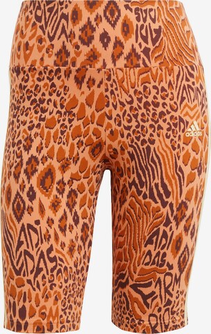 ADIDAS SPORTSWEAR Skinny Workout Pants 'Rio' in Orange: front