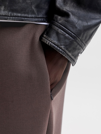 JACK & JONES Pantalon 'JPSTBILL' en 31-32 en chocolat, Vue avec produit
