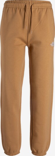 THE NORTH FACE Pantalon de sport en beige / blanc, Vue avec produit