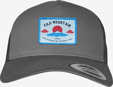 Casquette 'Fuji Mountain' F4NT4STIC en gris : devant