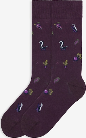Von Jungfeld Socks 'Herbst ICONS' in Purple: front