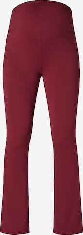 Noppies Regular Broek in Rood: voorkant