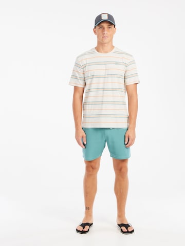 PROTEST Regular Pants 'PRTGraig' in Green