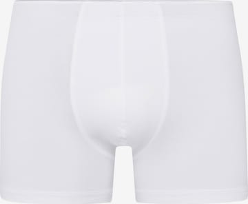 Hanro - Boxers 'Cotton Superior' em branco: frente