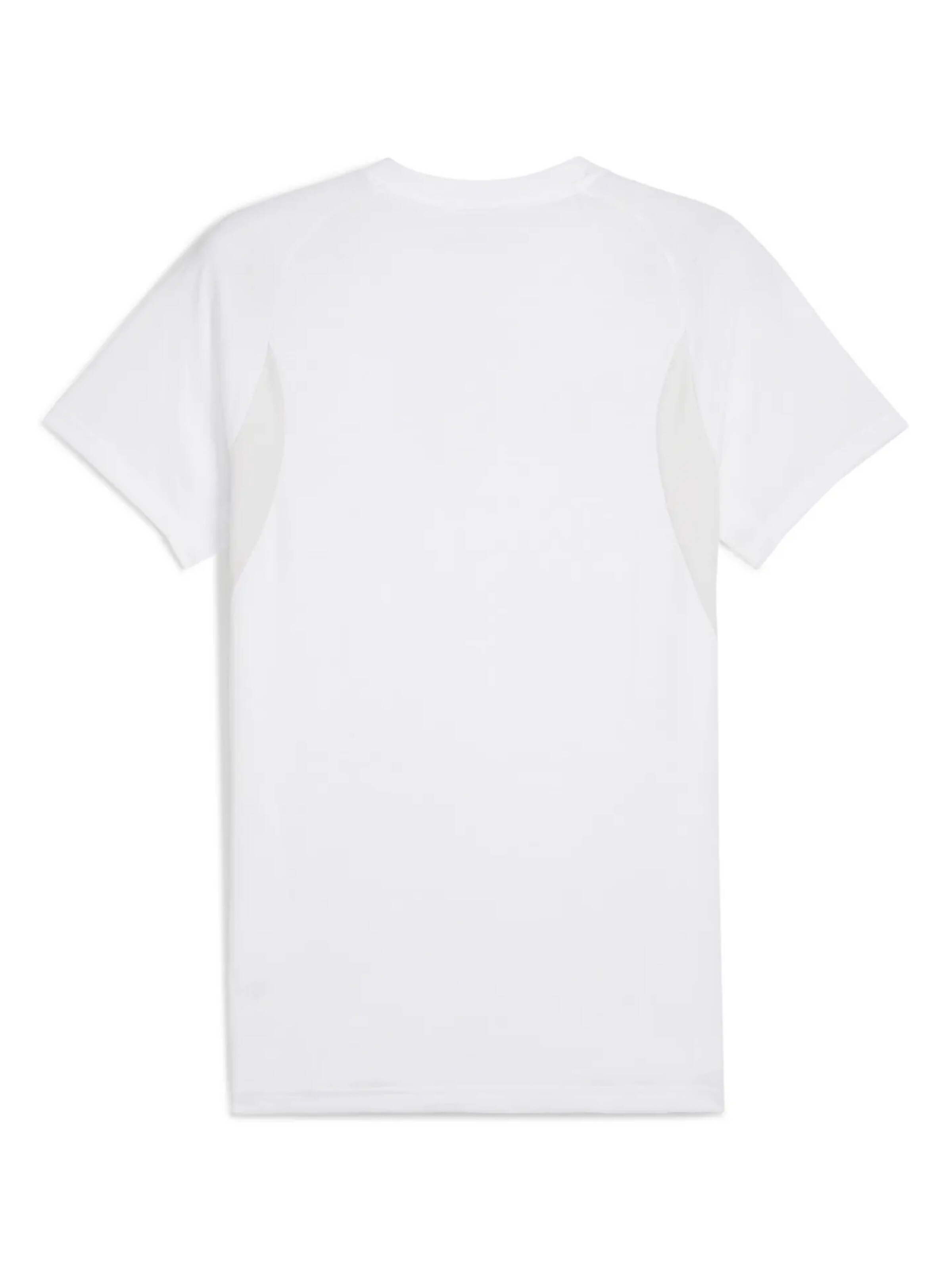 PUMA Funktionsskjorte 'TeamEvostripe' i hvid