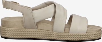 IGI&CO Sandalen met riem in Beige