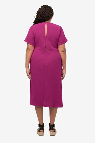 Ulla Popken Dress in Pink