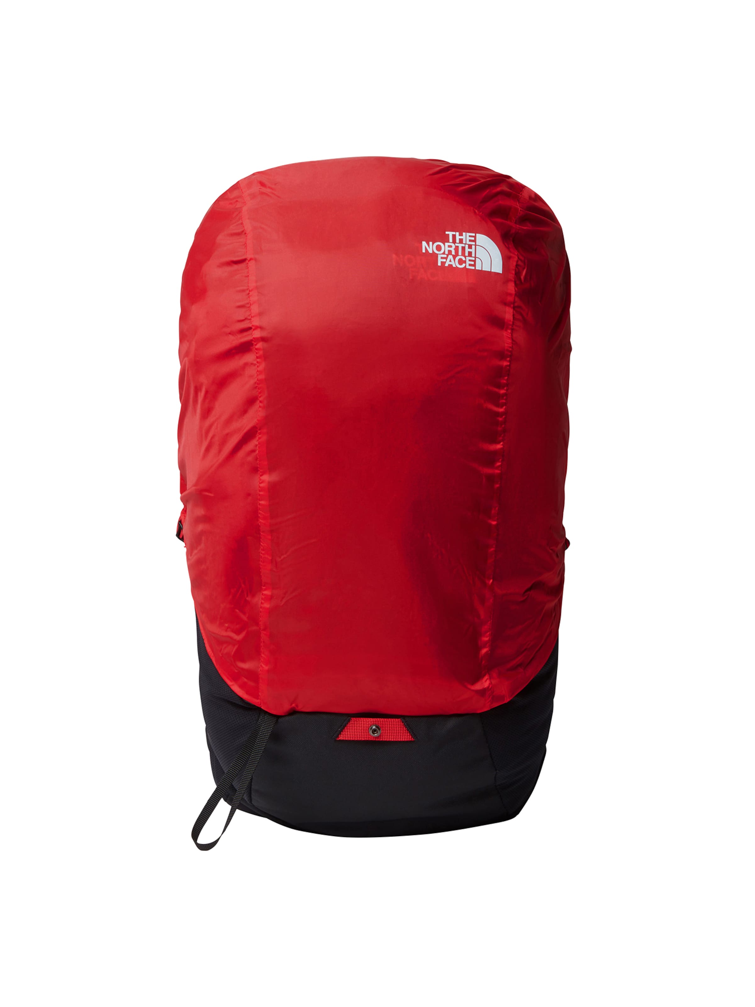 THE NORTH FACE Backpack 'Basin 24' in Black