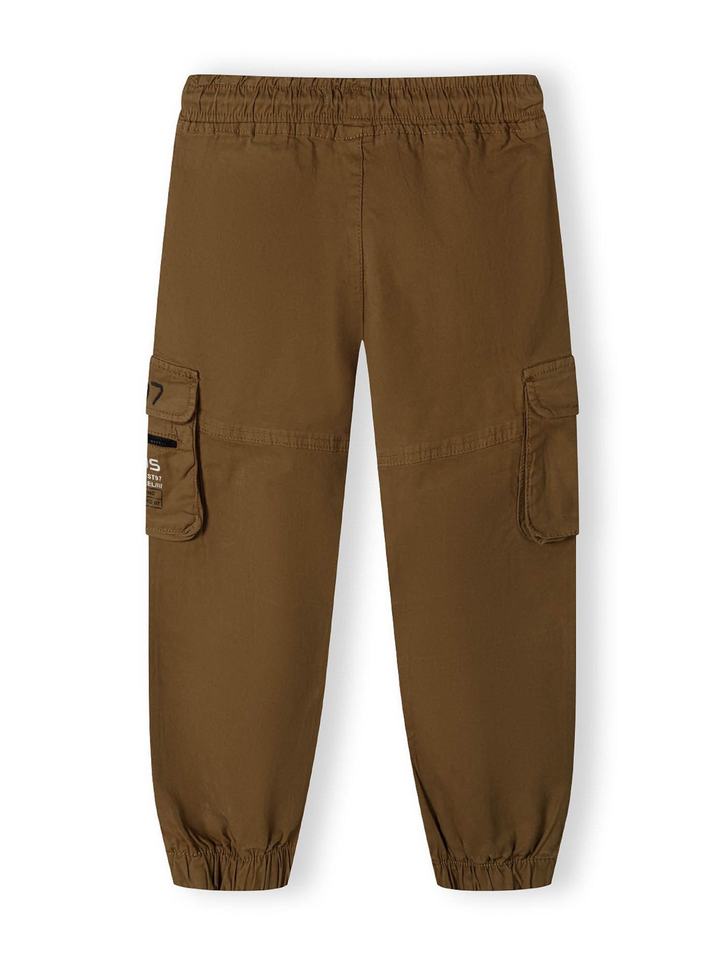 Tapered Pantaloni di MINOTI in marrone