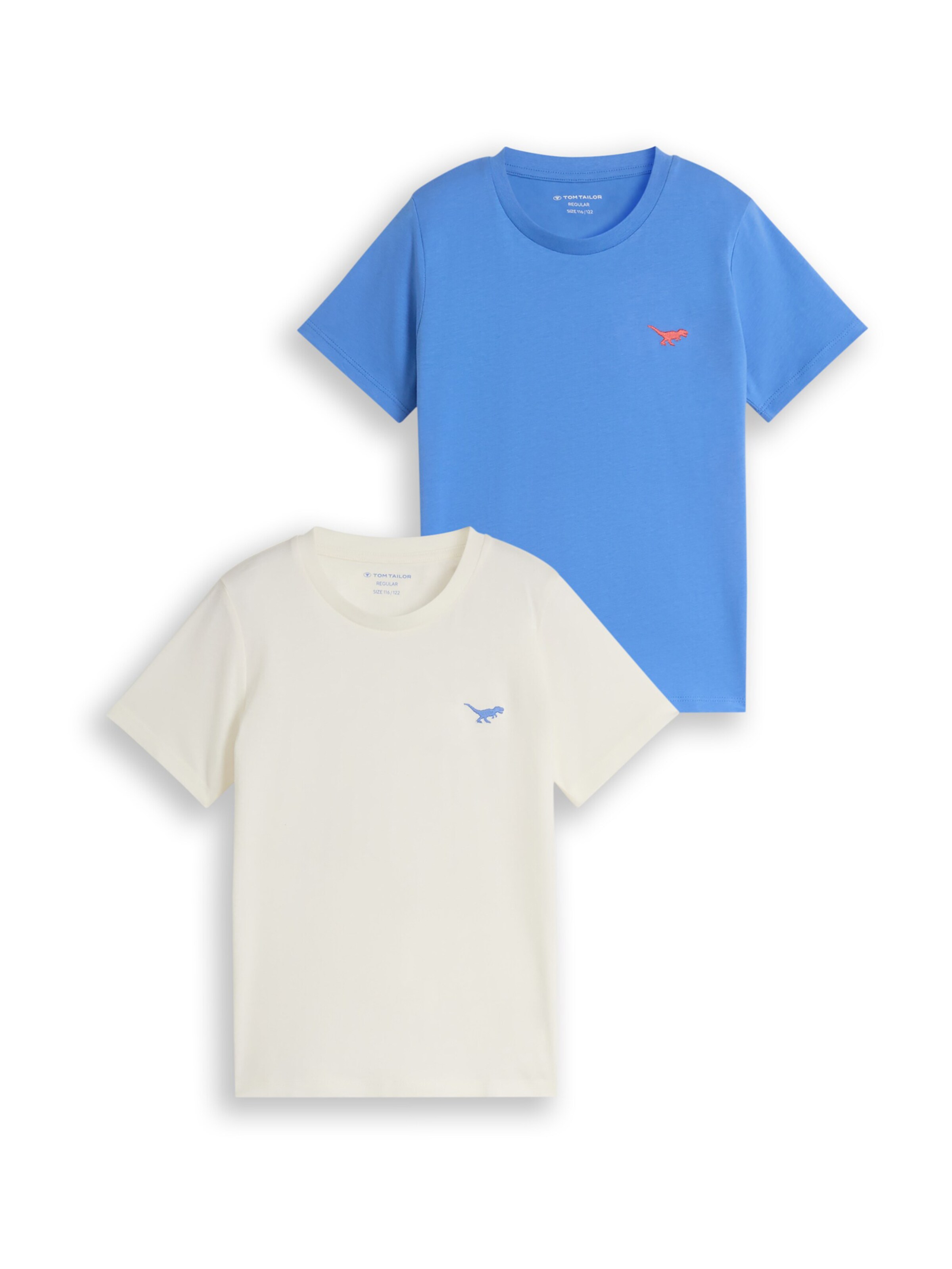 TOM TAILOR Shirt in Blue: front