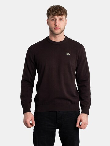 LACOSTE Sweatshirt in Brown: front