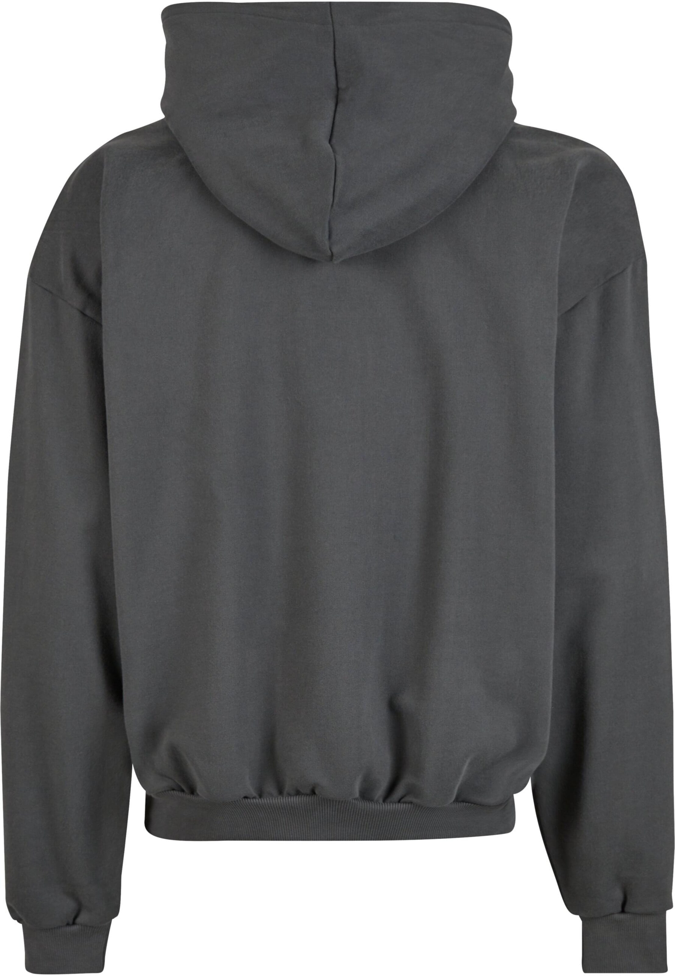 Karl Kani Μπλούζα φούτερ 'Autograph' σε γκρι