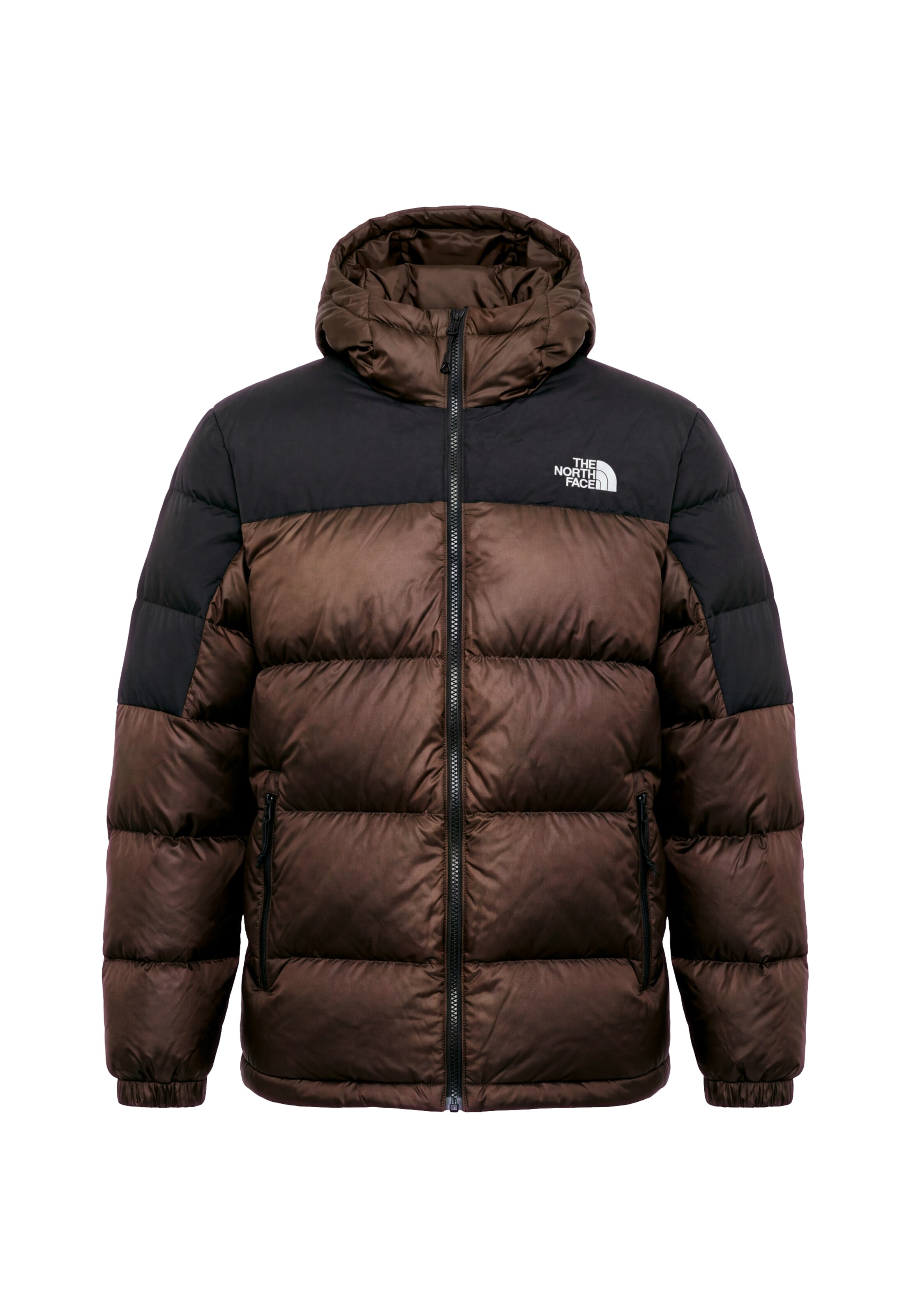 THE NORTH FACE Outdoor jacket 'DIABLO' in Brown: front