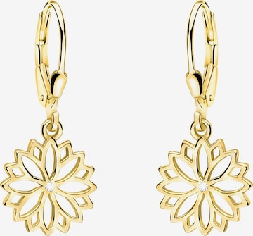 Sofia Milani Ohrringe 'Flower' in Gold: Vorderseite