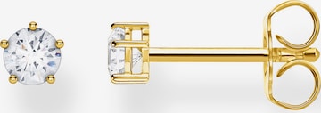 Thomas Sabo Ohrstecker in Gold: predná strana