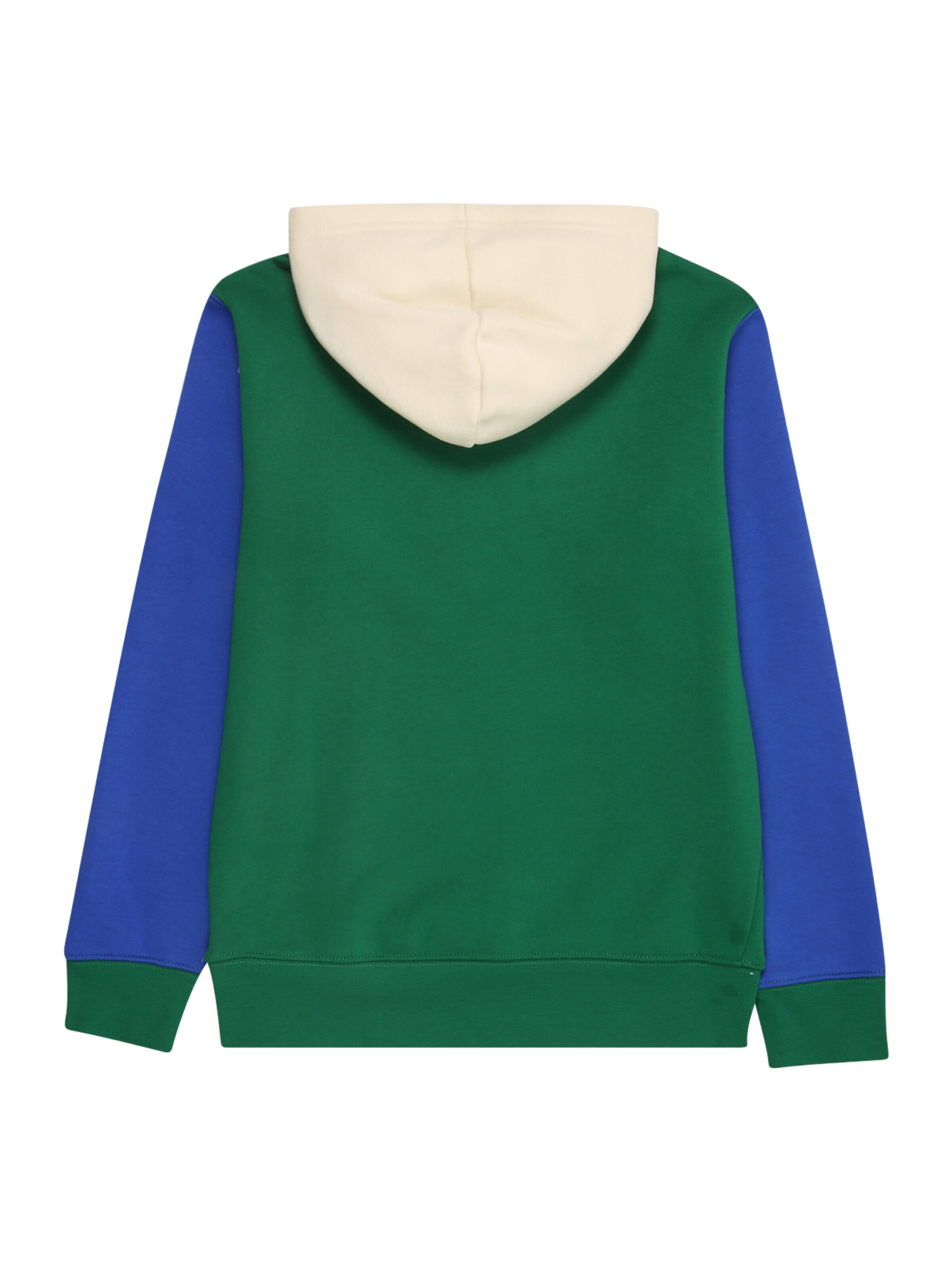 Jordan Sweatshirt 'Brooklyn' i grön