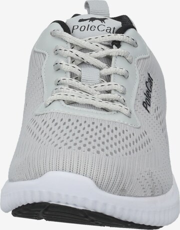 PoleCat Sneakers laag in Grijs