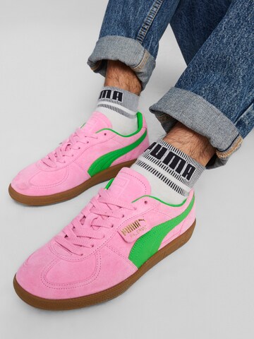 PUMA Низкие кроссовки 'Palermo Special' в Ярко-розовый: спереди