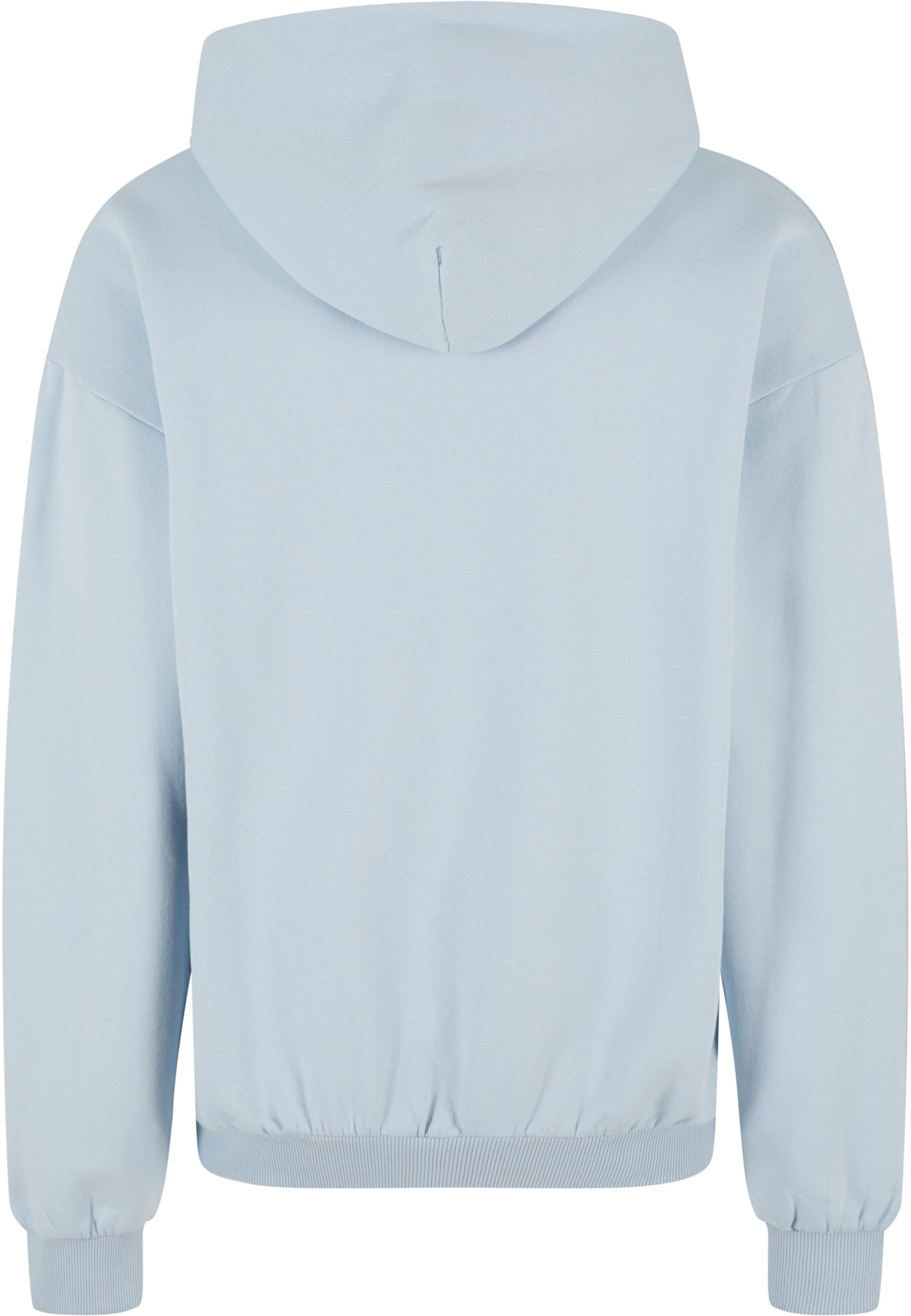 Karl Kani Sweatshirt in Blauw