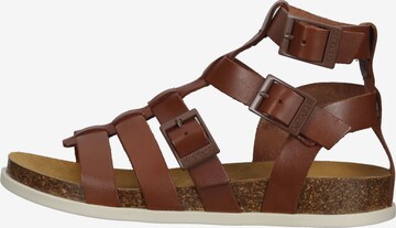 Kickers Strap Sandals in Brown