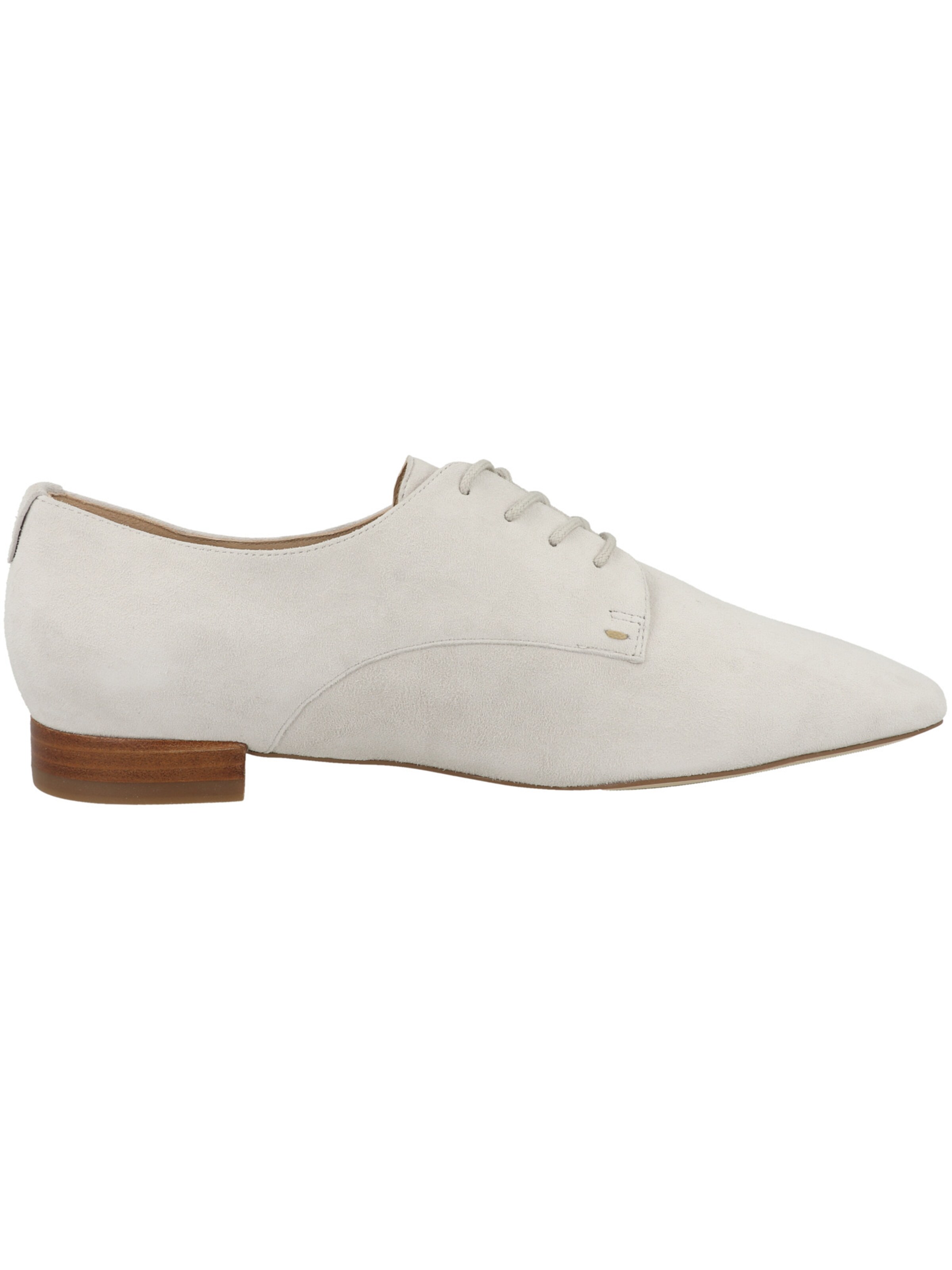 Scarpa stringata di PETER KAISER in grigio