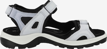 ECCO Wandelsandalen 'Offroad' in Blauw