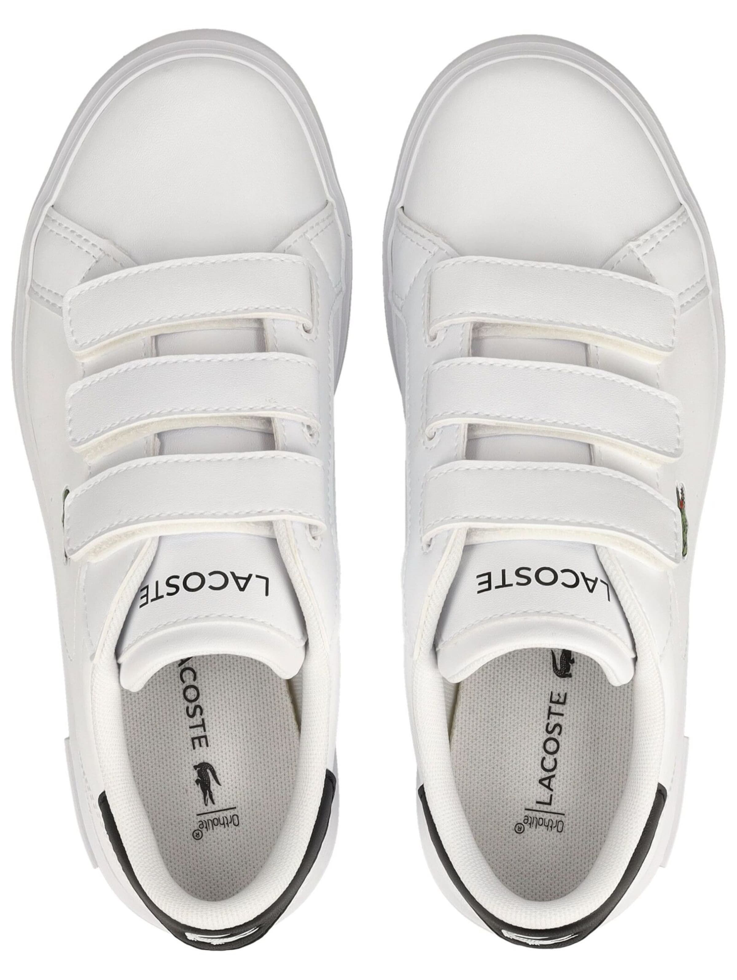 Baskets LACOSTE en blanc