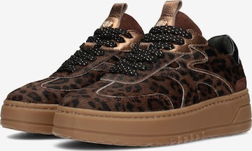 Baskets basses 'AURELIE' Haboob en marron : devant