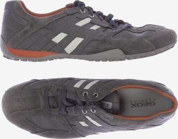 GEOX Sneaker 46 in Grau: predná strana