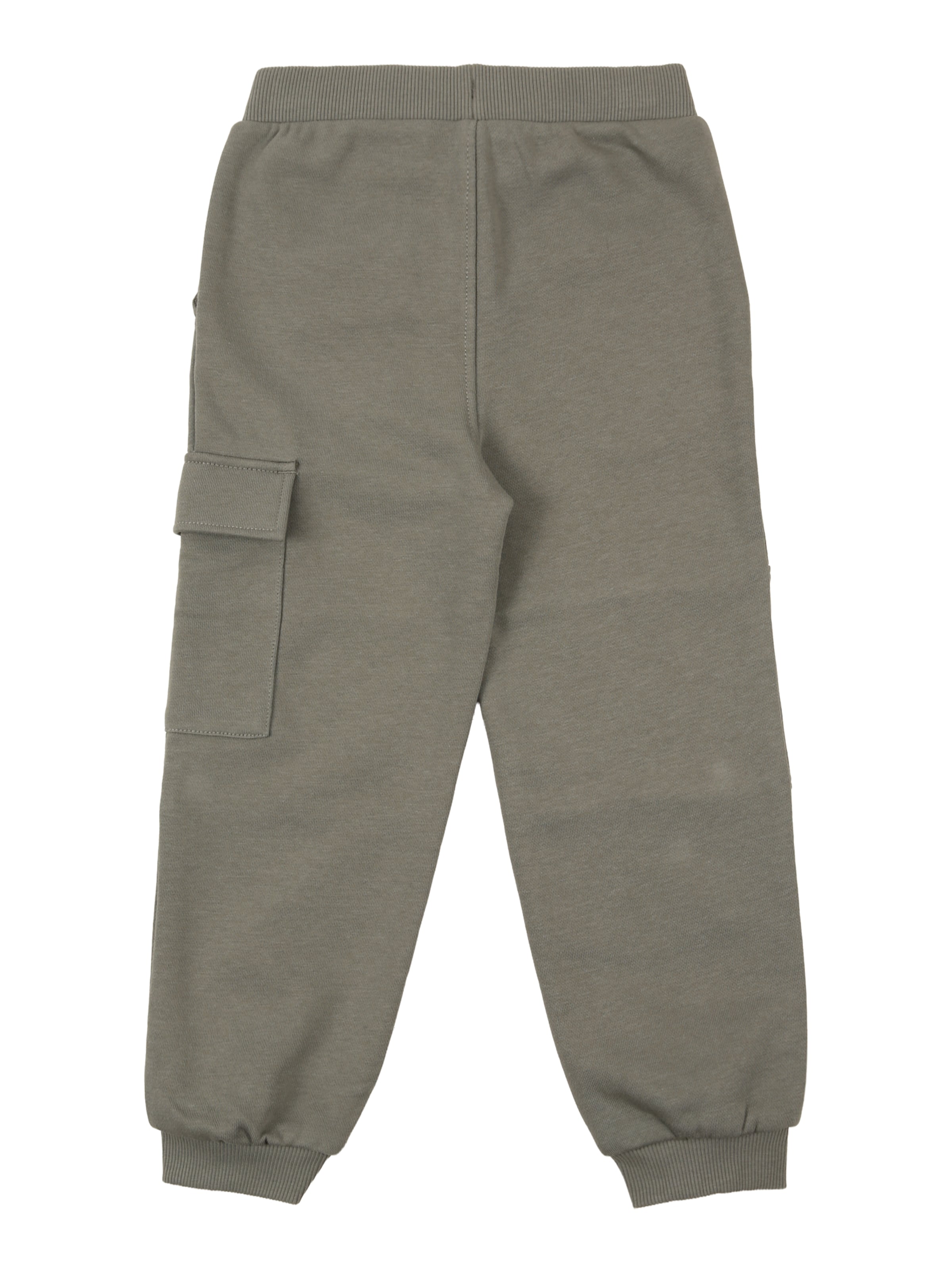 Effilé Pantalon s.Oliver en vert