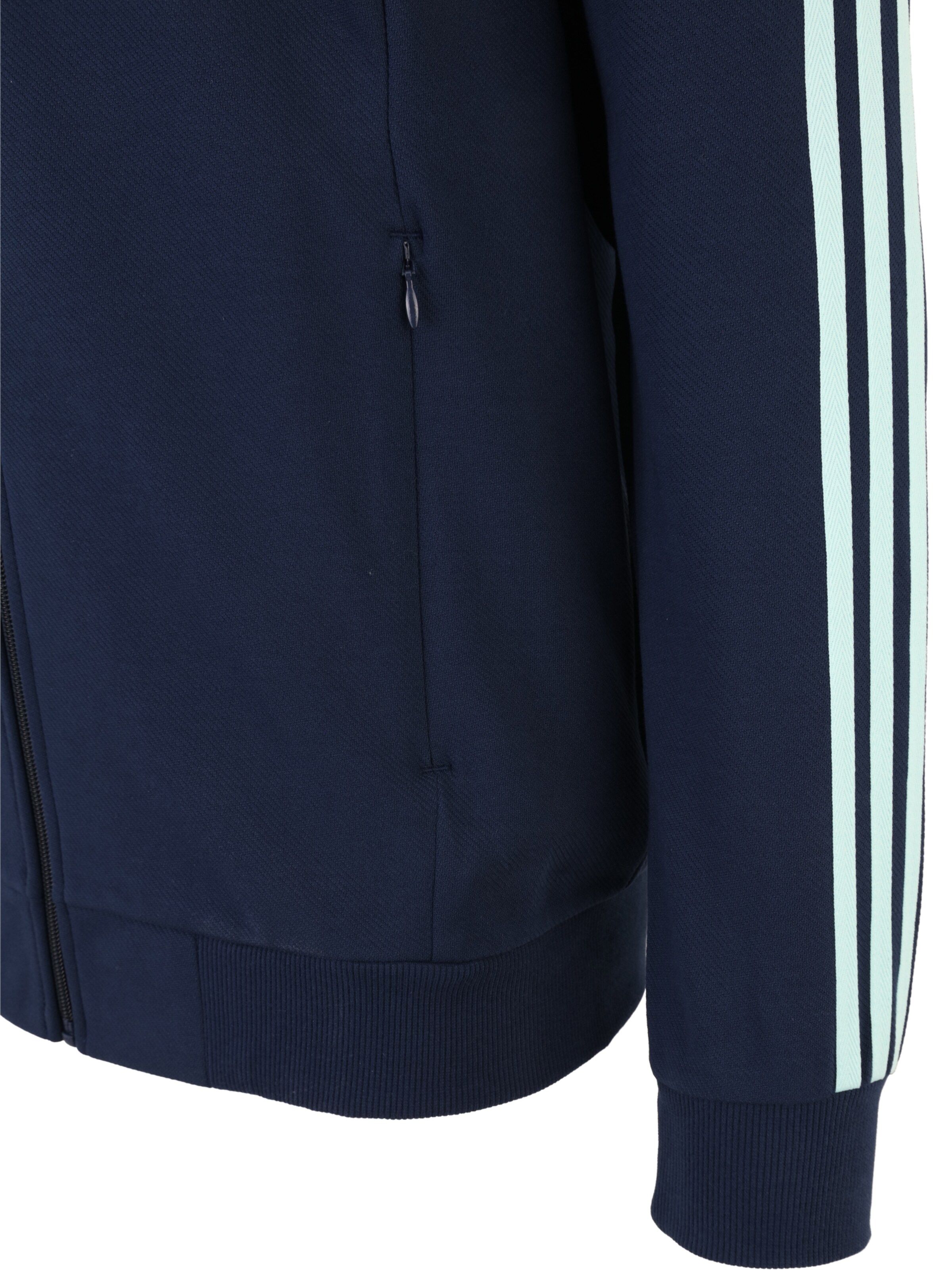 ADIDAS PERFORMANCE Sportovní mikina 'DFB' – modrá