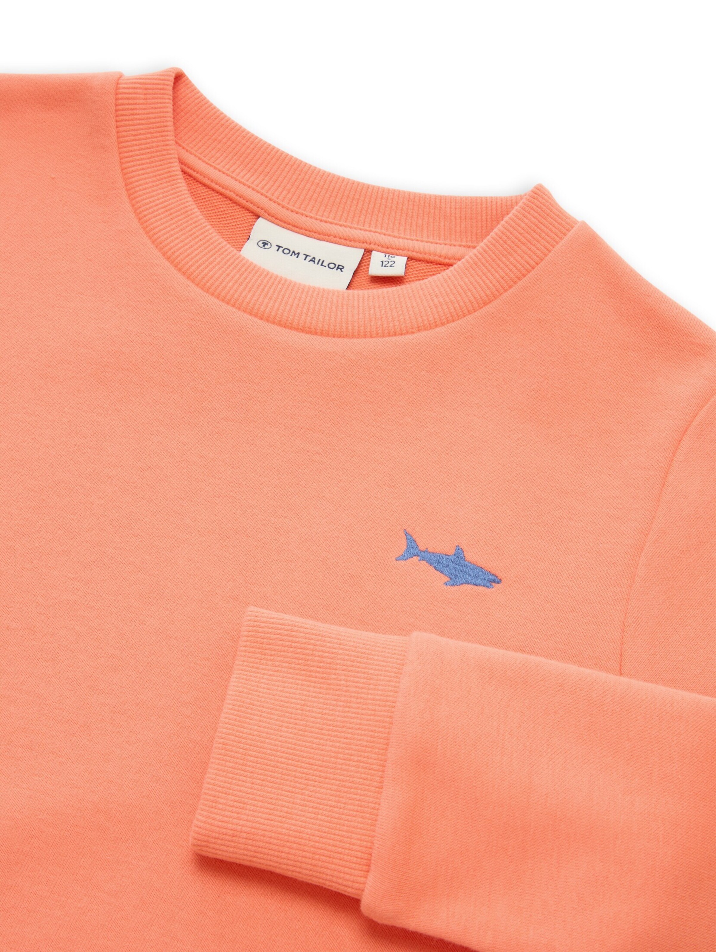TOM TAILOR Sweatshirt in Oranje