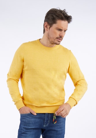 Pull-over HECHTER PARIS en jaune : devant