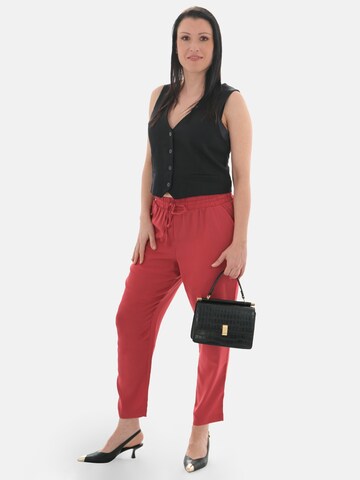 PANTONECLO Regular Trousers 'Pantoneclo Women's Trousers' in Red
