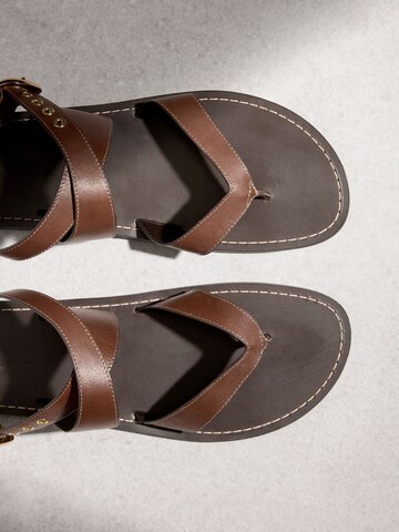 Next T-bar sandals in Brown