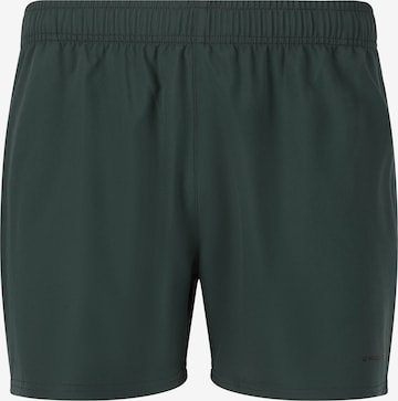 ENDURANCE Regular Sports trousers 'Kros M' in Green: front