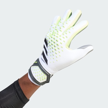 ADIDAS PERFORMANCE Athletic Gloves 'Predator League' in Grey
