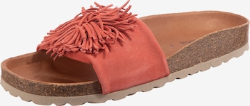 VERBENAS Mules 'Reina' in Orange: front