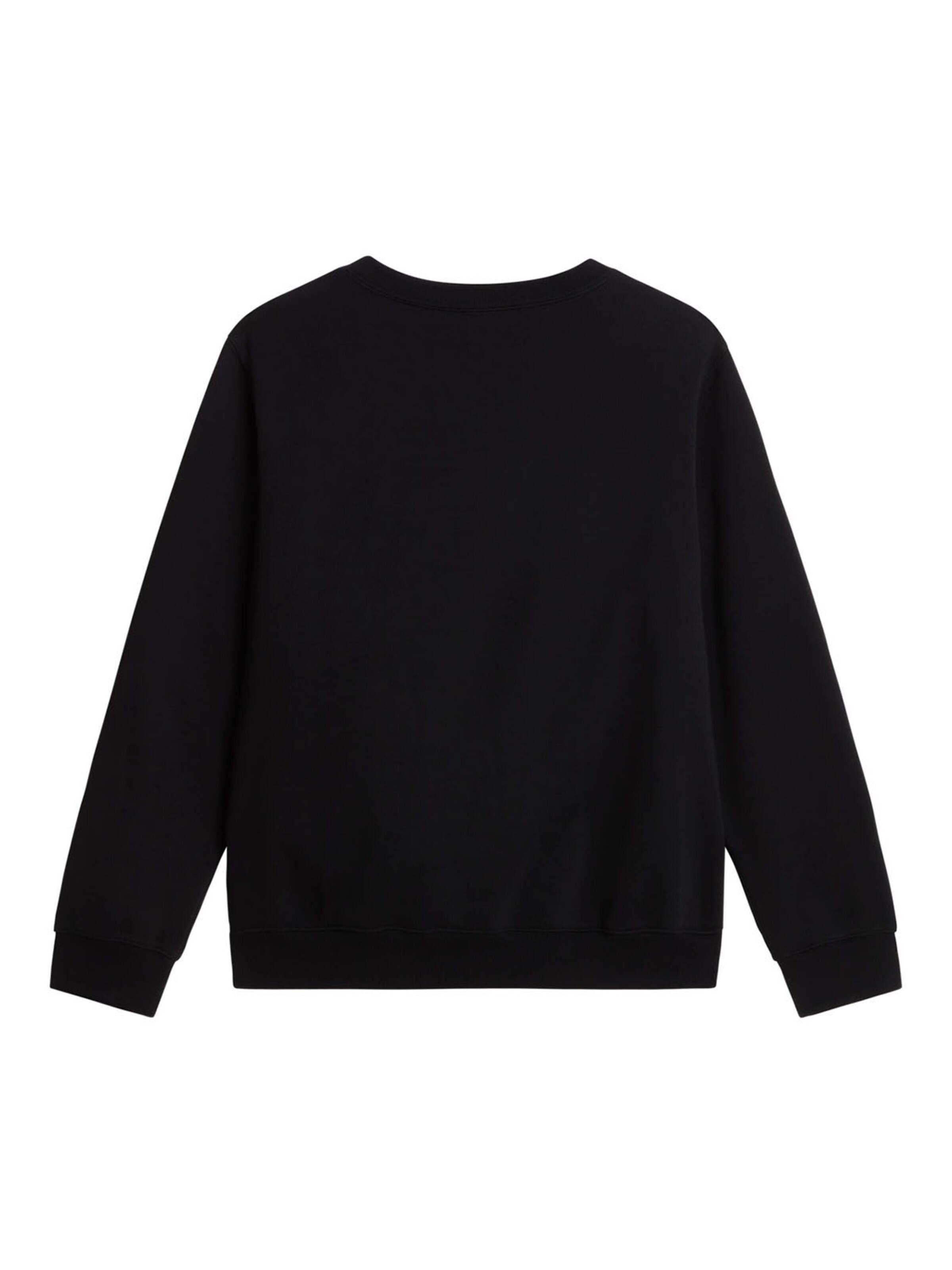 THE NORTH FACE Sweatshirt 'Essential Regular Crew'‌‌‌‌‌‌ in Schwarz