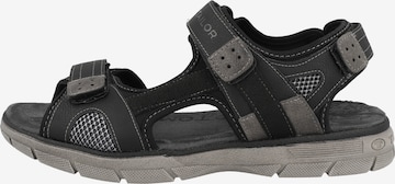 TOM TAILOR Sandals in Black: front