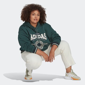 ADIDAS ORIGINALS Sweatshirt 'Class Of 72 ' in Green