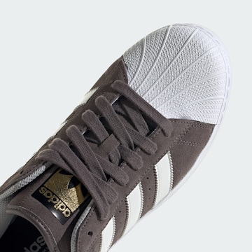 ADIDAS ORIGINALS Sneakers laag 'Superstar' in Bruin